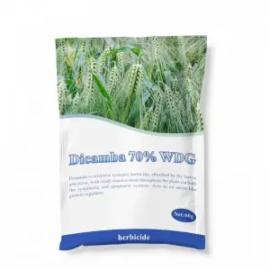 Free Sample Weed Killer Herbicide Dicamba 48% SL as Suppliers Technical Price Customized Label