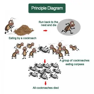 Powder Cockroach Killing Bait – Powerful health and safety pest indoor cockroach insecticide