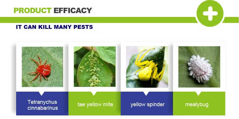 tagrget pests of abamectin and spirodiclofen
