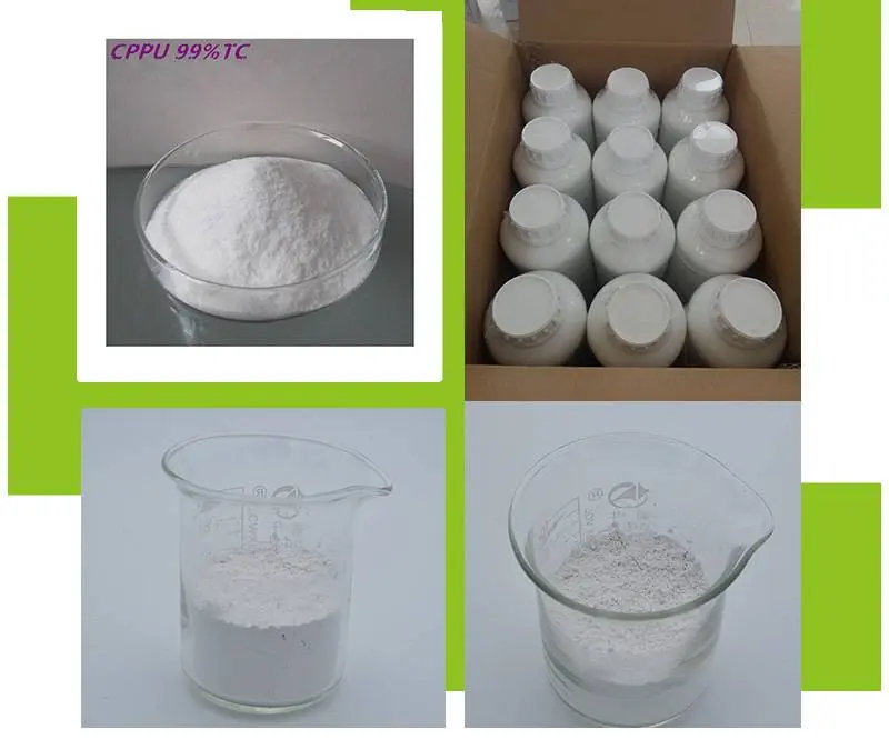 Plant Growth Regulator Forchlorfenuron