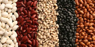 beans