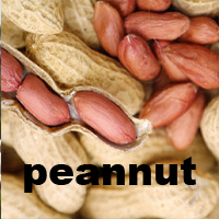 peanut