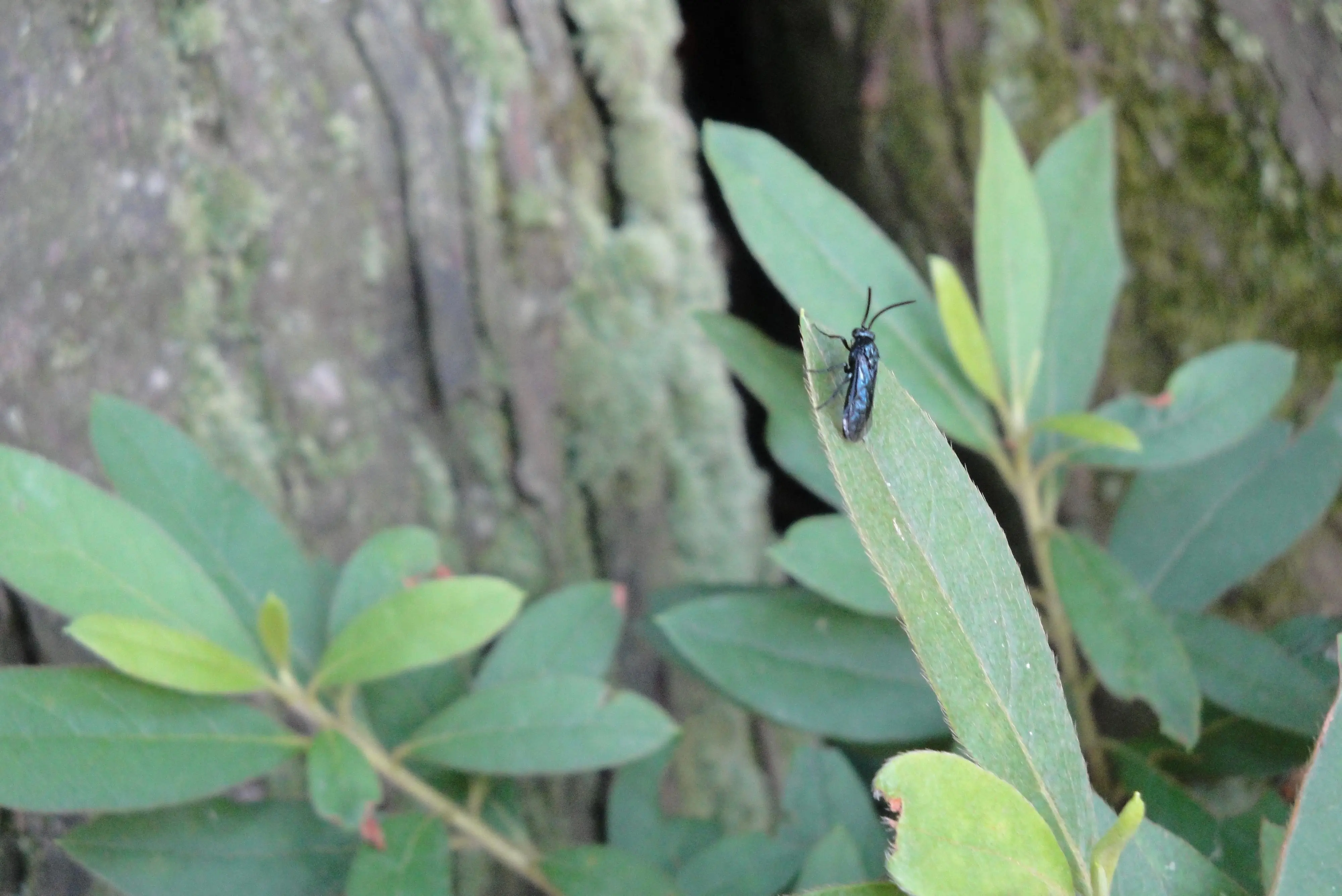 4ec2d5628535e5dd1a3b1b4d76c6a7efce1b6209