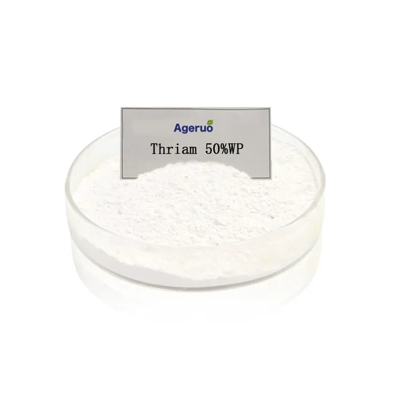 Agricultural Chemicals Pesticide Fungicide for Thiram 50%WP