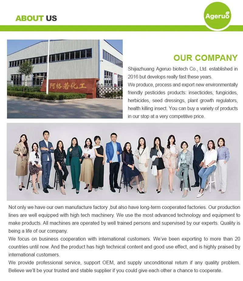 Shijiazhuang Ageruo Biotech (4)