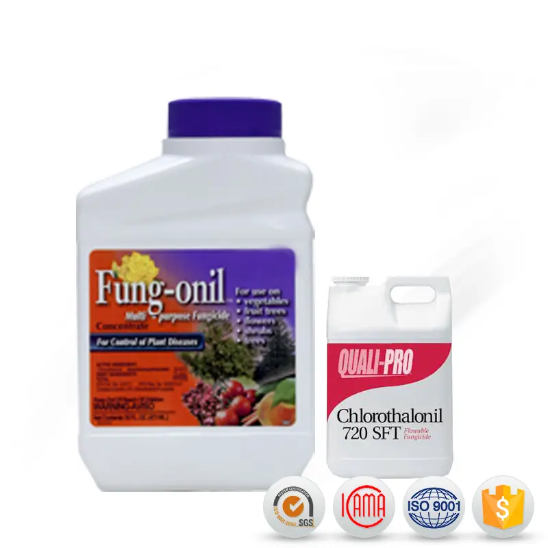 OEM Factory for Imidacloprid Technical - Professional price chlorothalonil 75 wp with high quality – AgeruoBiotech detail pictures