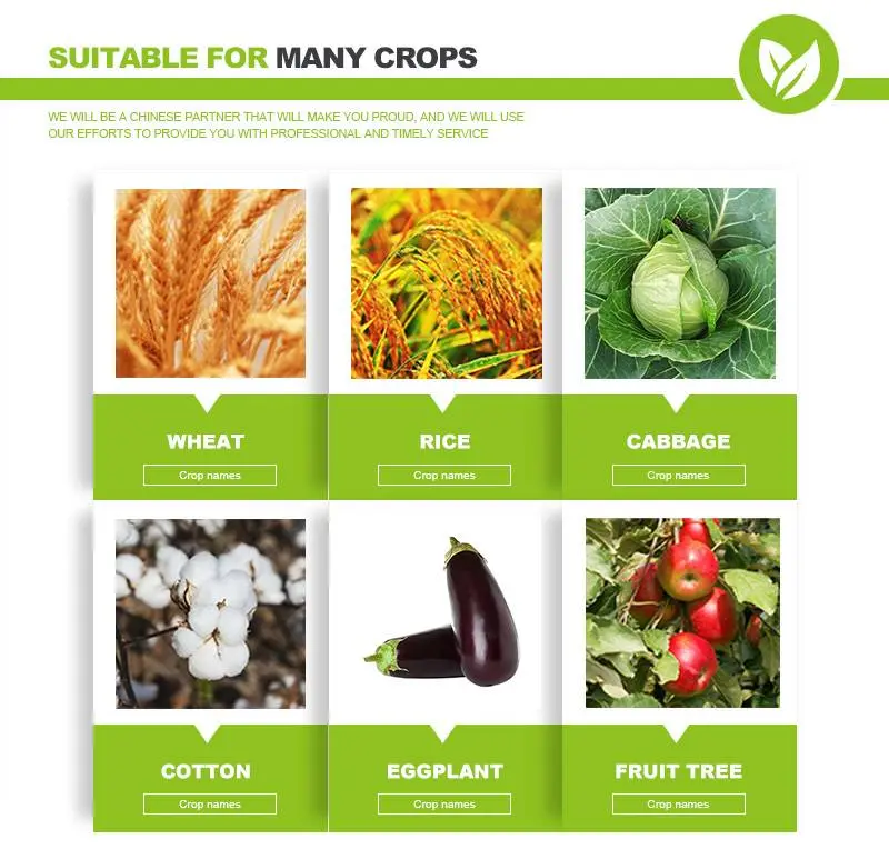 imidacloprid for plants