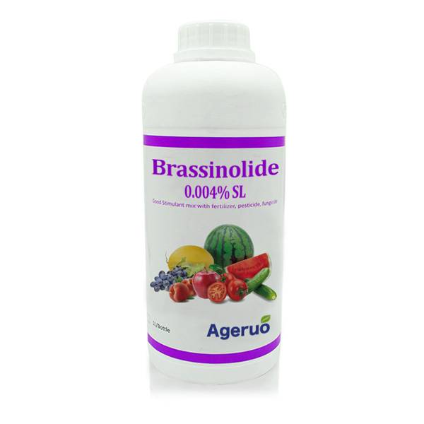 2019 Good Quality Chlorothalonil - Ageruo 90% TC Brassinolide use of Natural Plant Hormone – AgeruoBiotech detail pictures