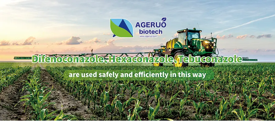 Triazole fungicides such as Difenoconazole, Hexaconazole and Tebuconazole are used safely and efficiently in this way