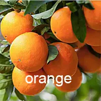 orange