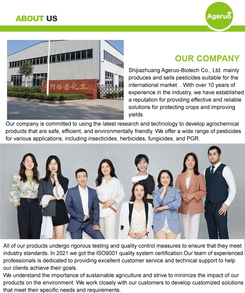 Shijiazhuang-Ageruo-Biotech-4 (1)