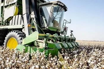 Cotton herbicide