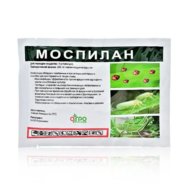 Ageruo Systemic Insecticide Acetamiprid 70% WG