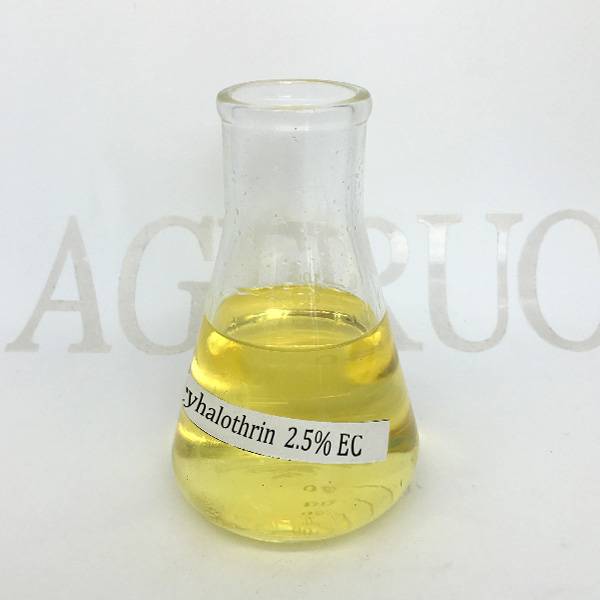 Wholesale Dealers of Indoxacarb - High Effective Pest Control China Lambda Cyhalothrin 5% EC Insecticide Agricultural Products – AgeruoBiotech detail pictures