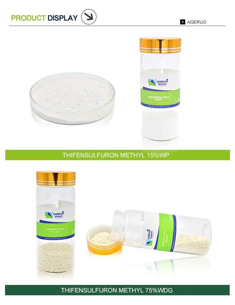 Thifensulfuron Methyl (1)