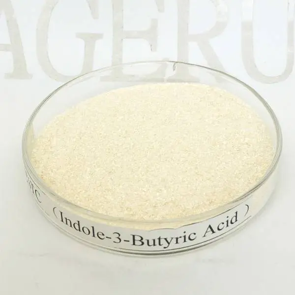 Bottom price Nicosulfuron - Indole-3-butyric acid 98% TC of Ageruo IBA for Rooting Hormone – AgeruoBiotech detail pictures