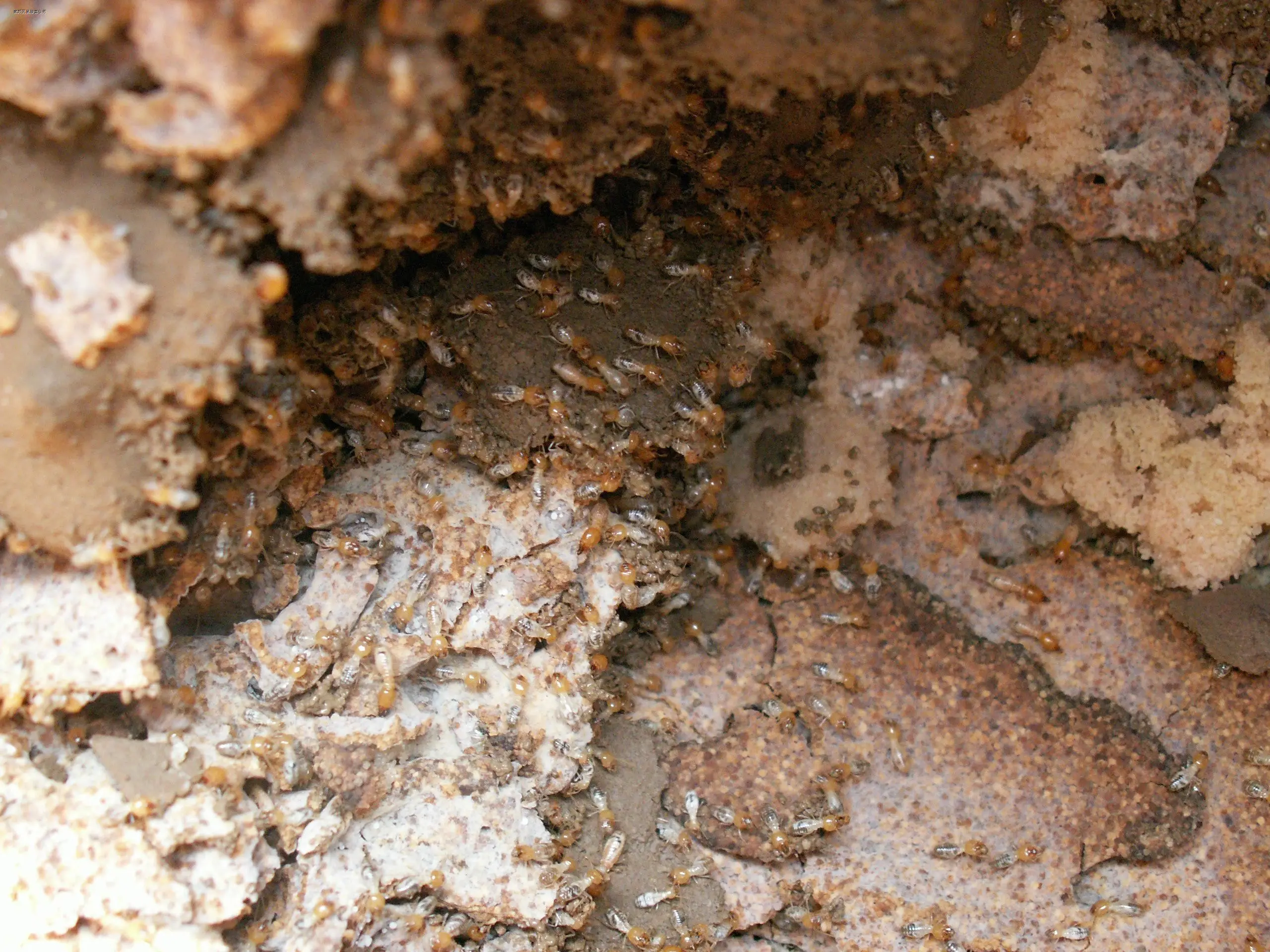 2014040216115553
