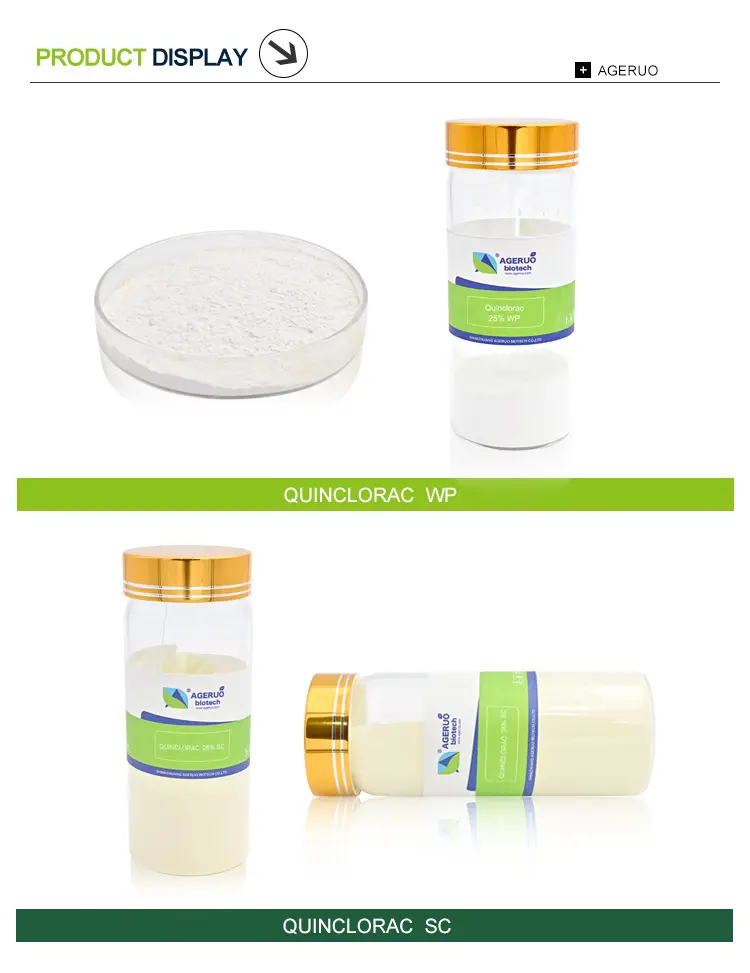 Quinclorac 25 SC (3)