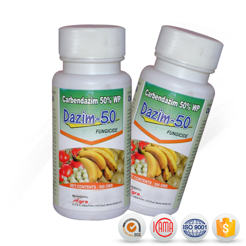 China Cheap price Fungicide Mancozeb - soil fumigants bavistin fungicide fungicide carbendazim 50 wp&50%sc price – AgeruoBiotech detail pictures