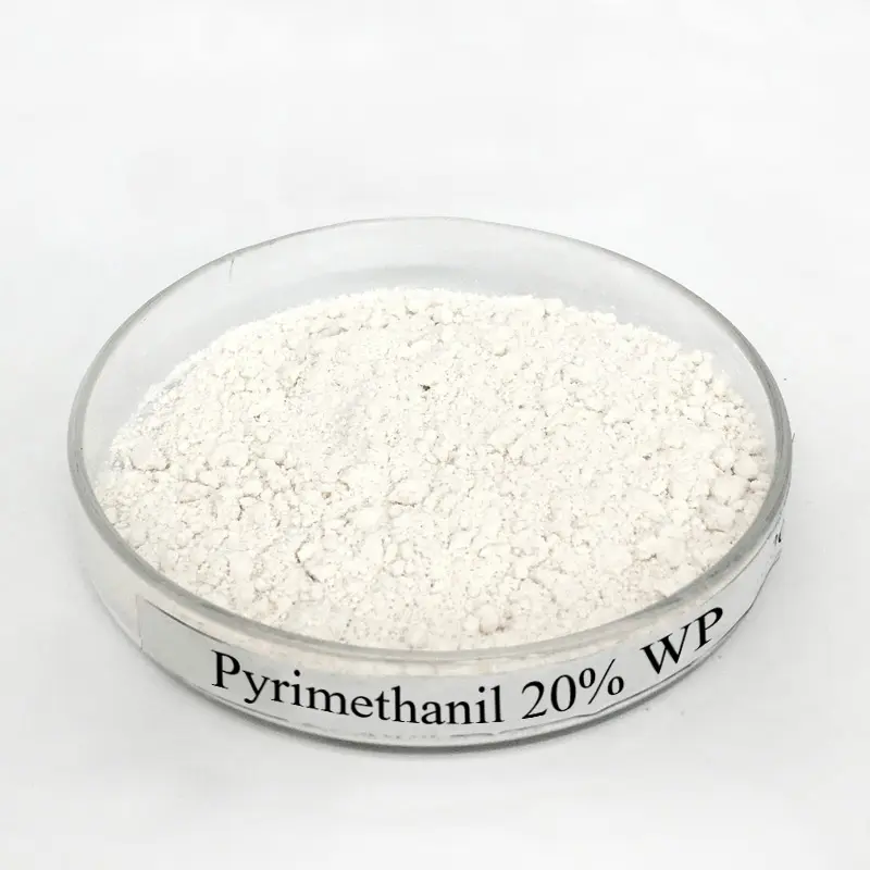 High definition Acetamiprid - Fungicide Pyrimethanil 20% SC 40% SC 20% WP for Tomato Botrytis desease – AgeruoBiotech detail pictures