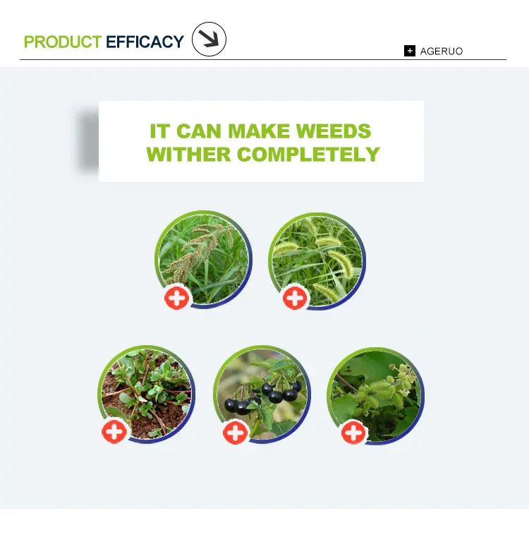 target weeds of Clomazone