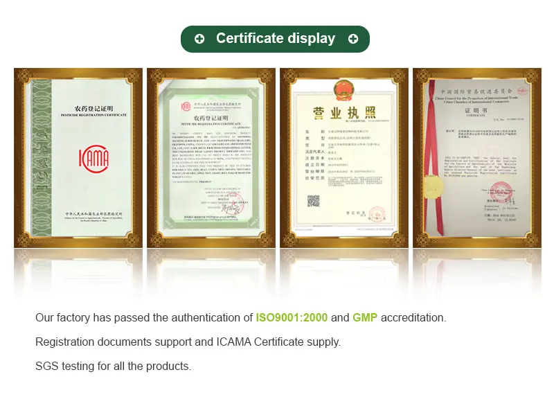 Shijiazhuang Ageruo Biotech (9)