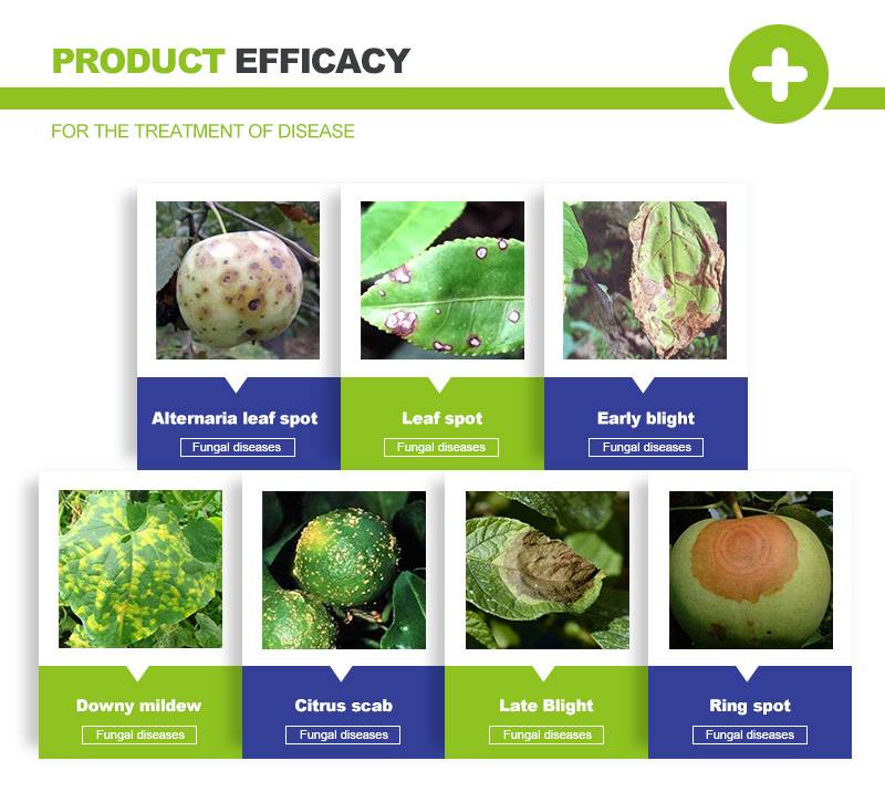 metalaxyl mancozeb fungicide