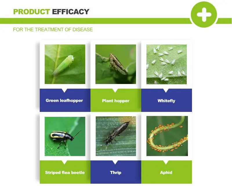 acetamiprid pesticide