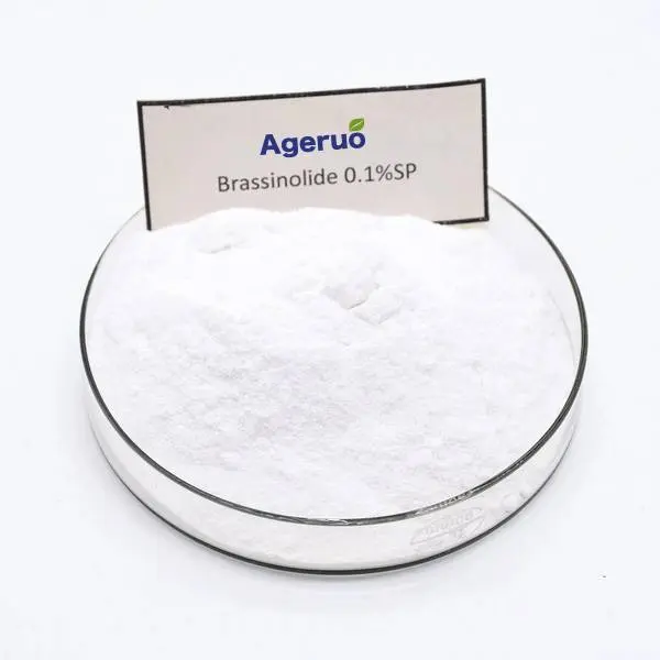 2019 Good Quality Chlorothalonil -  Ageruo 90% TC Brassinolide use of Natural Plant Hormone - AgeruoBiotech