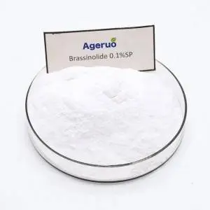 Ageruo 90% TC Brassinolide use of Natural Plant Hormone