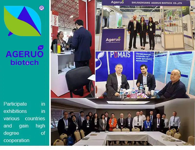 Shijiazhuang-Ageruo-Biotech-EXHIBITION