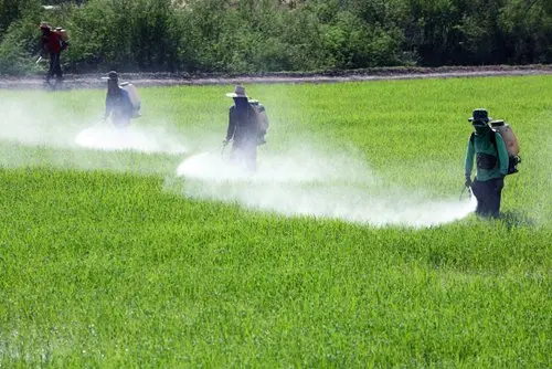 Complex formula --- better choice of crops protection!