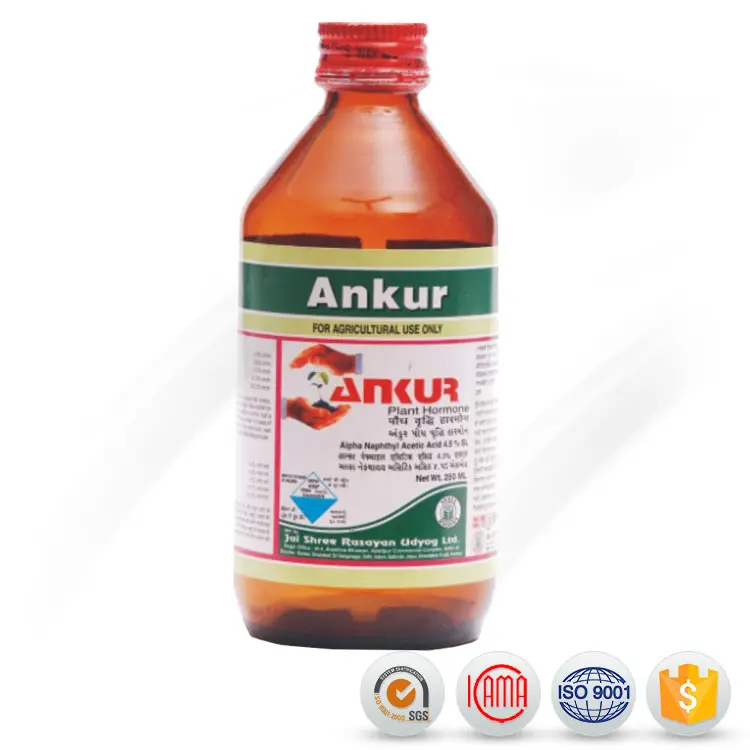 2019 wholesale price Azoxystrobin Tebuconazole - Botanical pesticide supplier of agrochemicals pesticides 1%SL NAA (Napthylacetic Acid) – AgeruoBiotech detail pictures