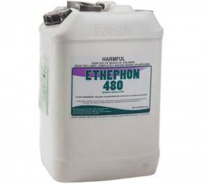 Cheapest Factory China Customized Label Plant Growth Hormone Ethephon 480g L SL
