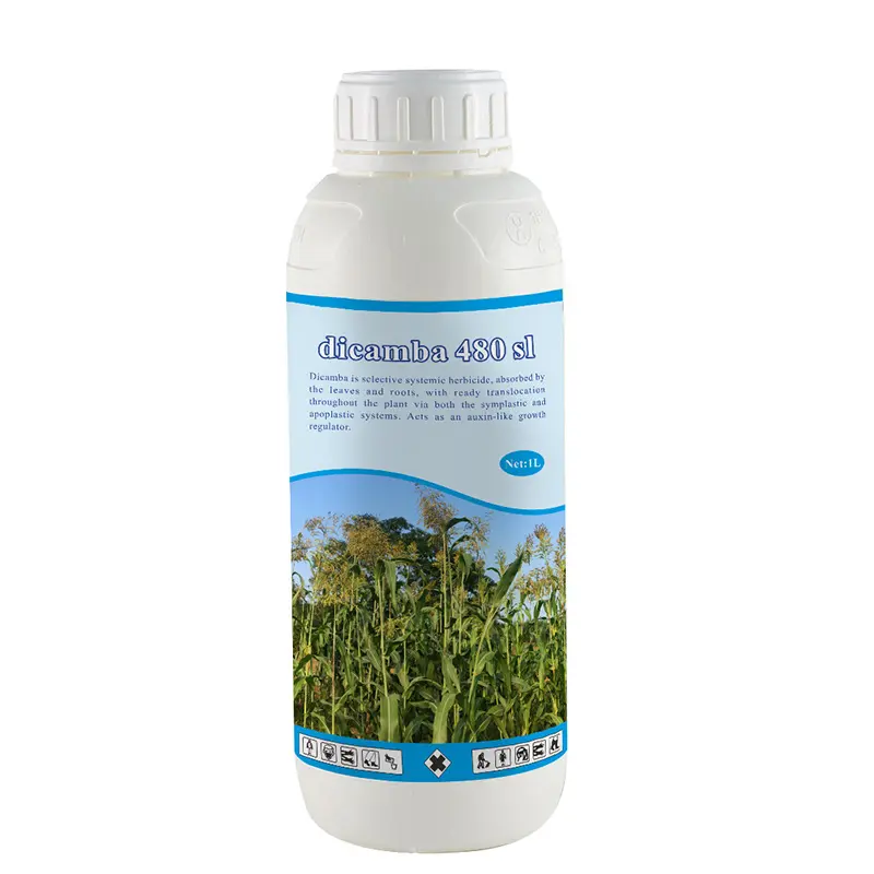 Professional China Nicosulfuron Herbicide -  Free Sample Weed Killer Herbicide Dicamba 48% SL as Suppliers Technical Price Customized Label - AgeruoBiotech