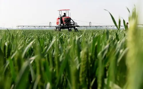 pesticide using