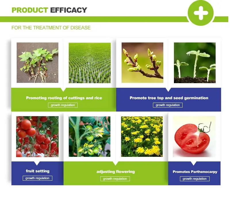 IAA Growth Hormone Uses