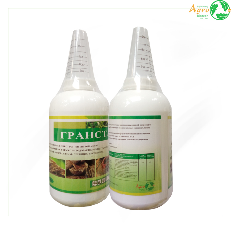 Reasonable price Ethephon Technical -  Tribenuron-methyl 75%WDG herbicide Tribenuron-methyl 75%WDG - AgeruoBiotech