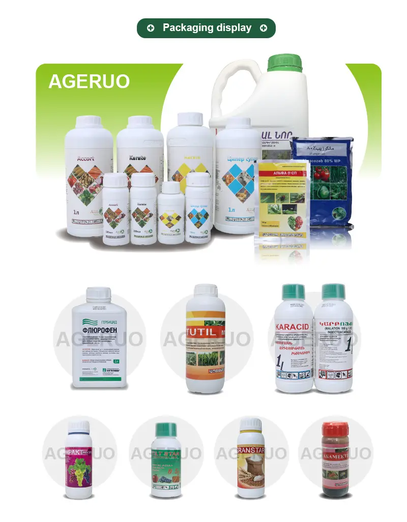Shijiazhuang Ageruo Biotech (7)