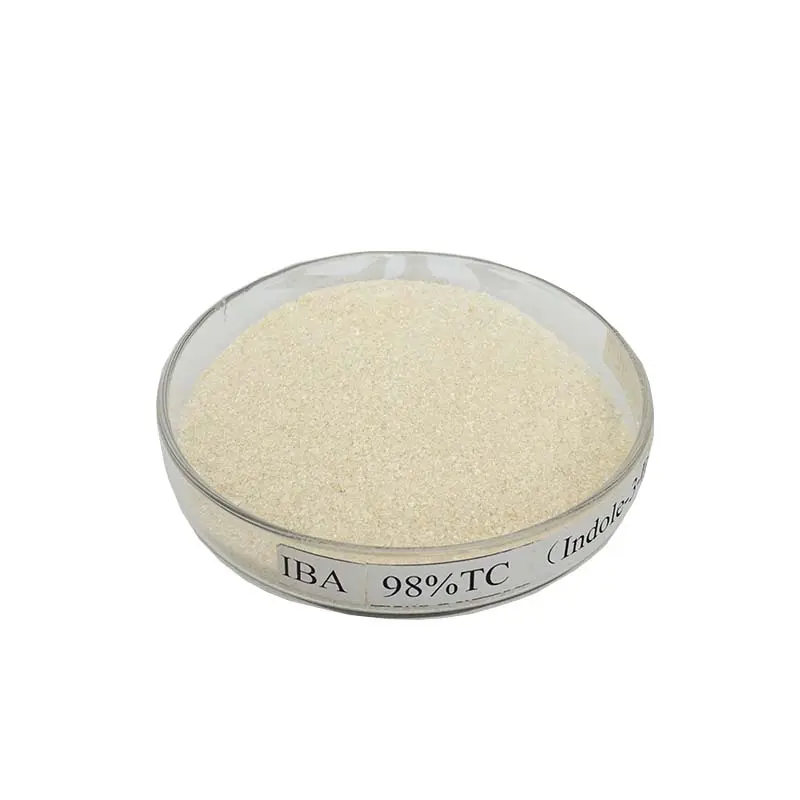 Professional China Plant Growth - Agrochemicals Pesticides 98%TC IBA (Indole-3-Butyric Acid ) with fast delivery – AgeruoBiotech