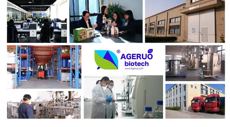 Shijiazhuang Ageruo-Biotech Co., Ltd 2