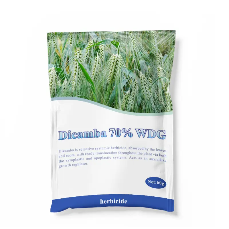 Professional China Nicosulfuron Herbicide - Free Sample Weed Killer Herbicide Dicamba 48% SL as Suppliers Technical Price Customized Label – AgeruoBiotech