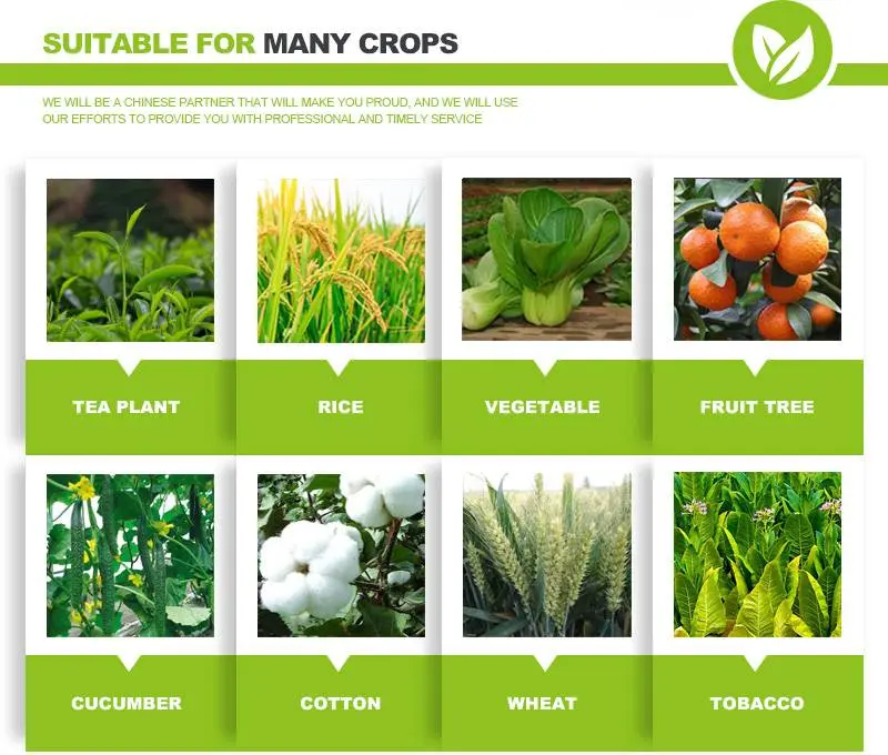 acetamiprid uses in agriculture