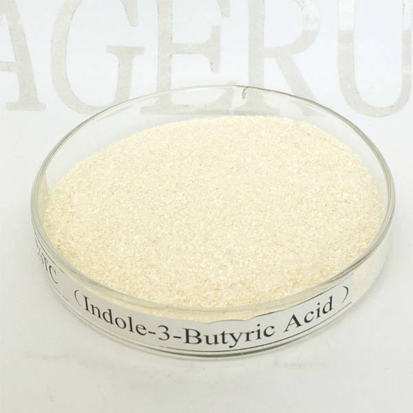 Hot sale Flutriafol Price -  Ageruo Indole-3-Butyric Acid 99% Tc IBA for Plant Growth Regulator - AgeruoBiotech