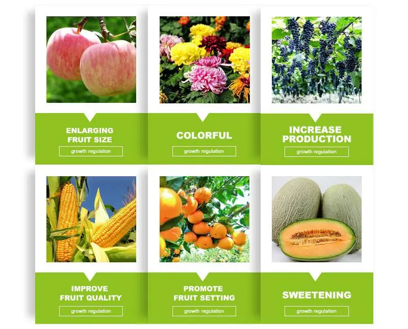 plant growth regulators use
