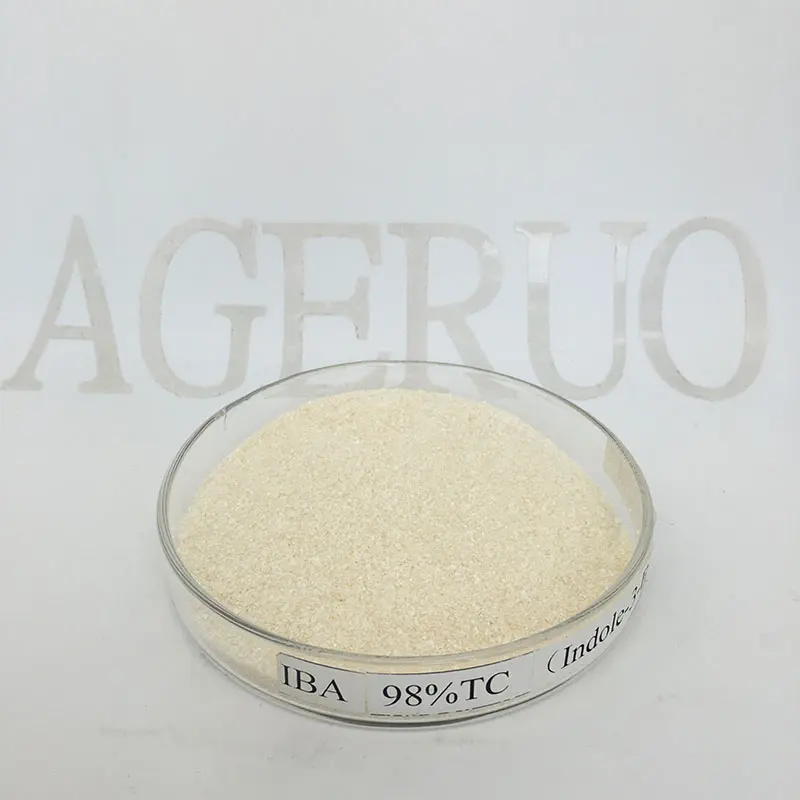 Professional China Plant Growth - Agrochemicals Pesticides 98%TC IBA (Indole-3-Butyric Acid ) with fast delivery – AgeruoBiotech detail pictures