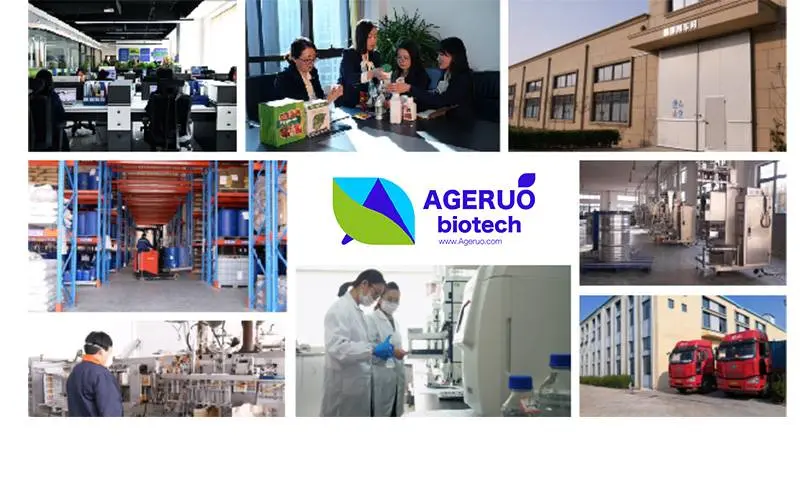 Shijiazhuang Ageruo Biotech (5)