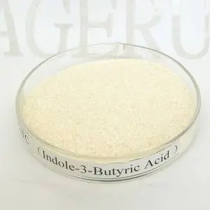 Ageruo Indole-3-Butyric Acid 99% Tc IBA for Plant Growth Regulator