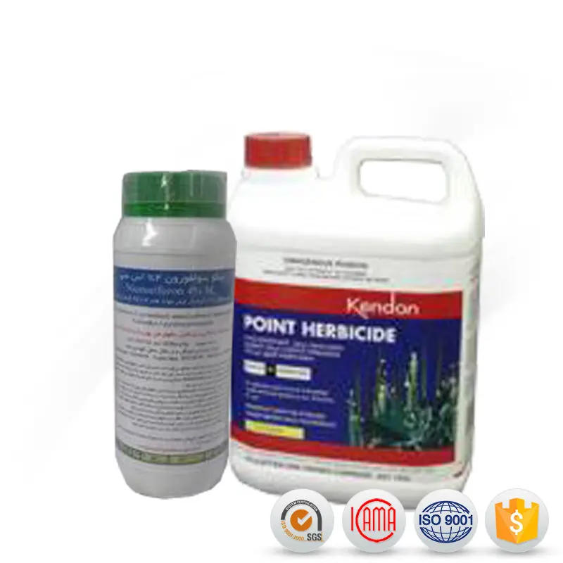 Best quality Ddvp - Agrochemicals Pesticides Herbicide 80%WDG Nicosulfuron with fast delivery – AgeruoBiotech detail pictures