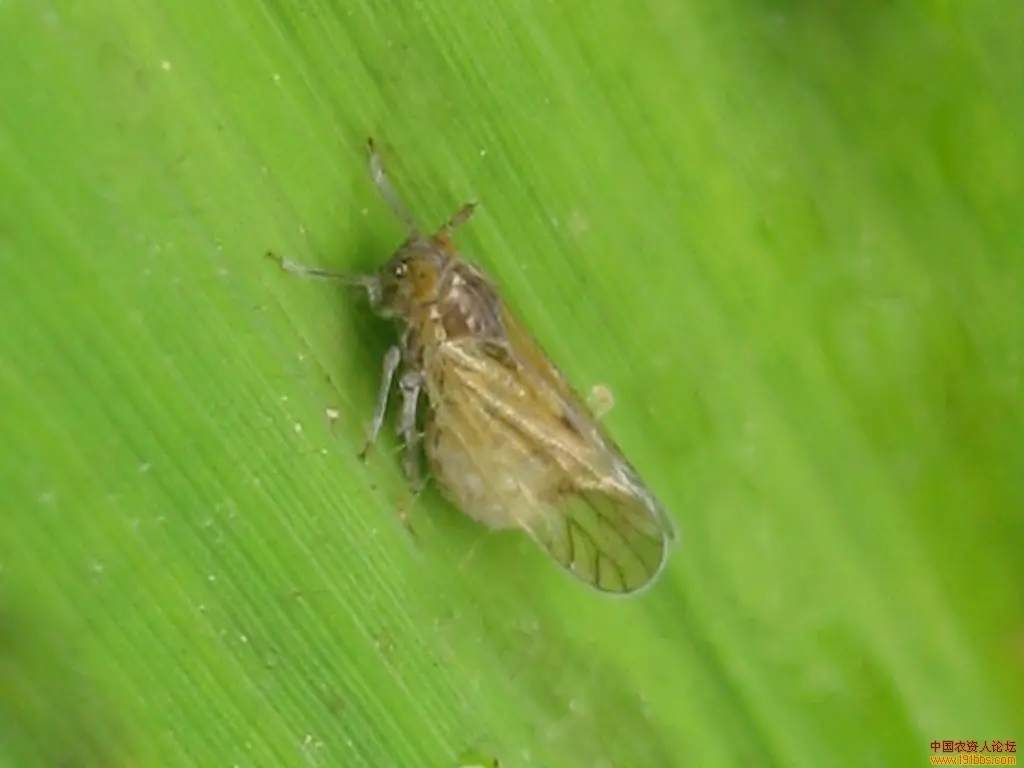 63_788_fb45998a4aea11d